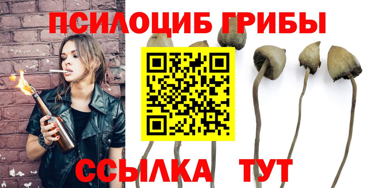Йошкар-Ола  Галлюциногенные грибы Cubensis  где можно купить   Вход с VPN  Галлюциногенные грибы GOLDEN TEACHER 