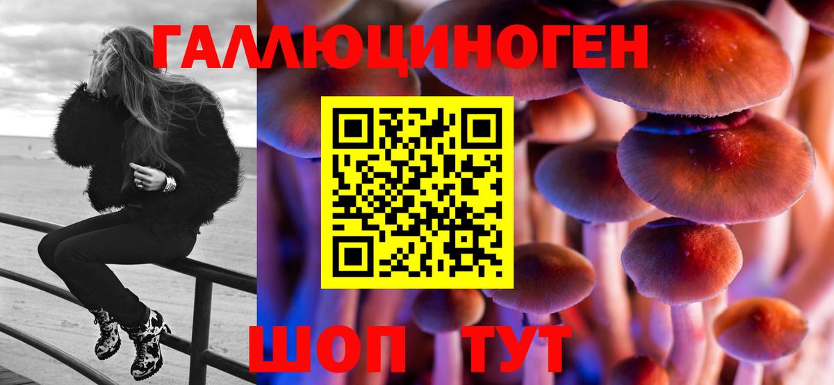 Галлюциногенные грибы прущие грибы Йошкар-Ола